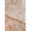 Exquisite Rugs Fine Pure Silk Hand-Knotted Beige/Orange/Gold Area Rug