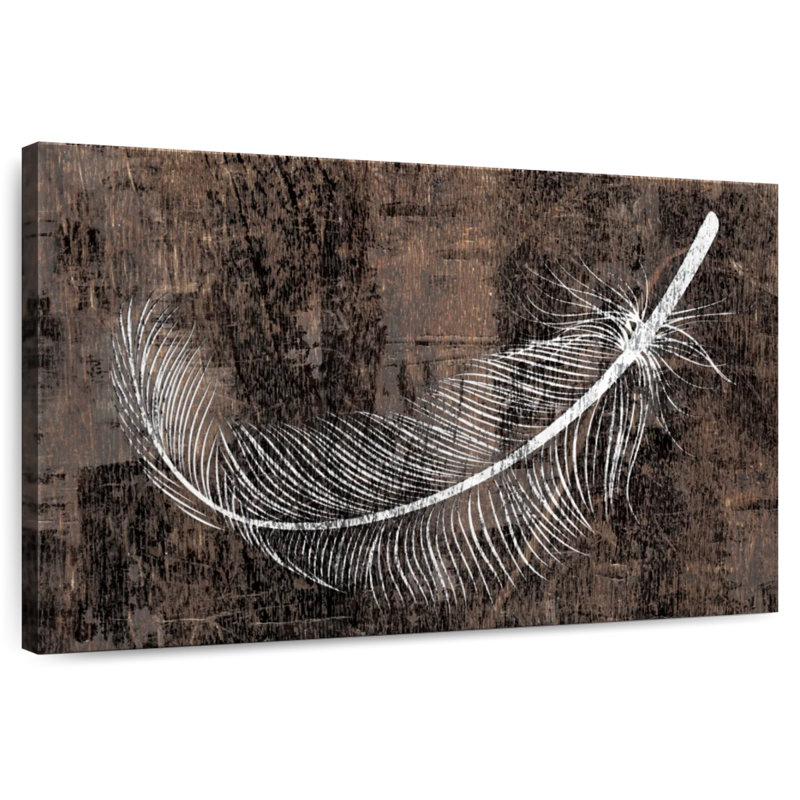Contour de plumes blanches Kerner, H 20 po x l 30 po