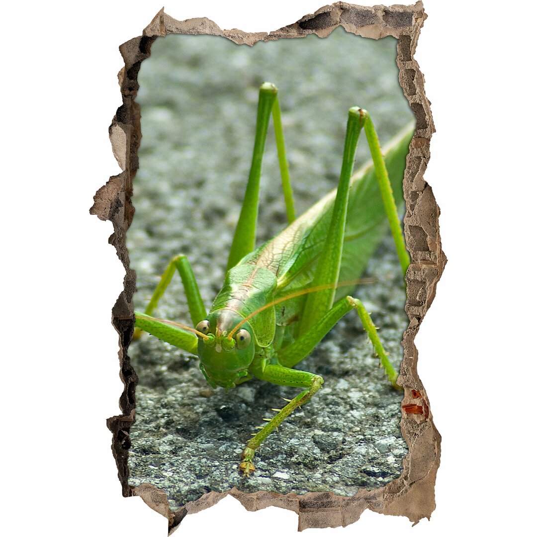 Verwirrter kleiner Grashüpfer Wandaufkleber