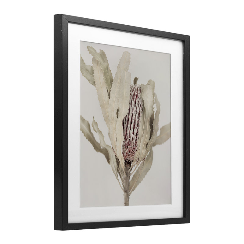 «Hidden Banksia Botanical Fronds», reproduction sous verre encadrée, design par Sissi et Seb, Cadre noir minuit