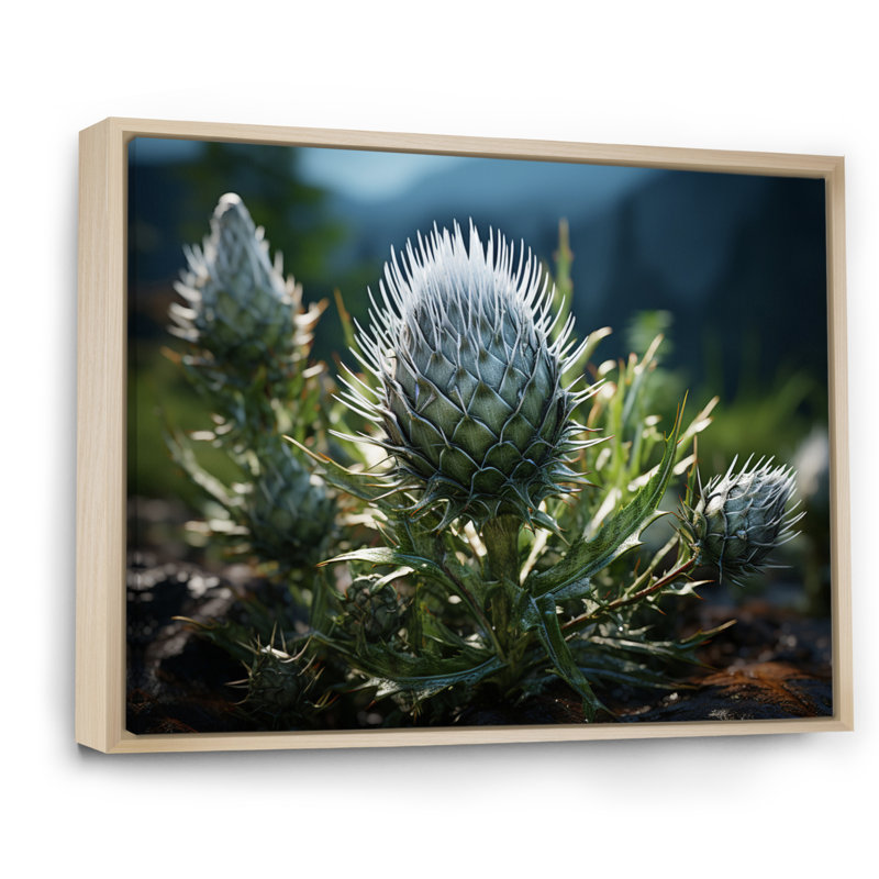 Green Majestic Thistle I - Floral Canvas Art Print, H 30 po x l 40 po x P 1,5 po, Cadre naturel flottant