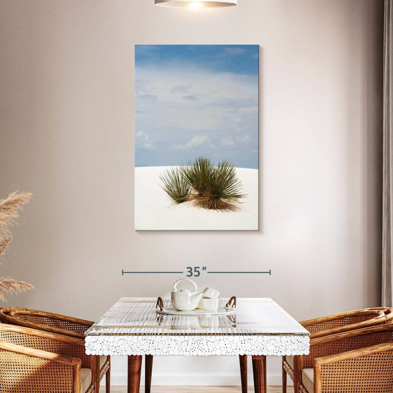 Buisson de dunes de sable Alvord, H 45 po x l 30 po