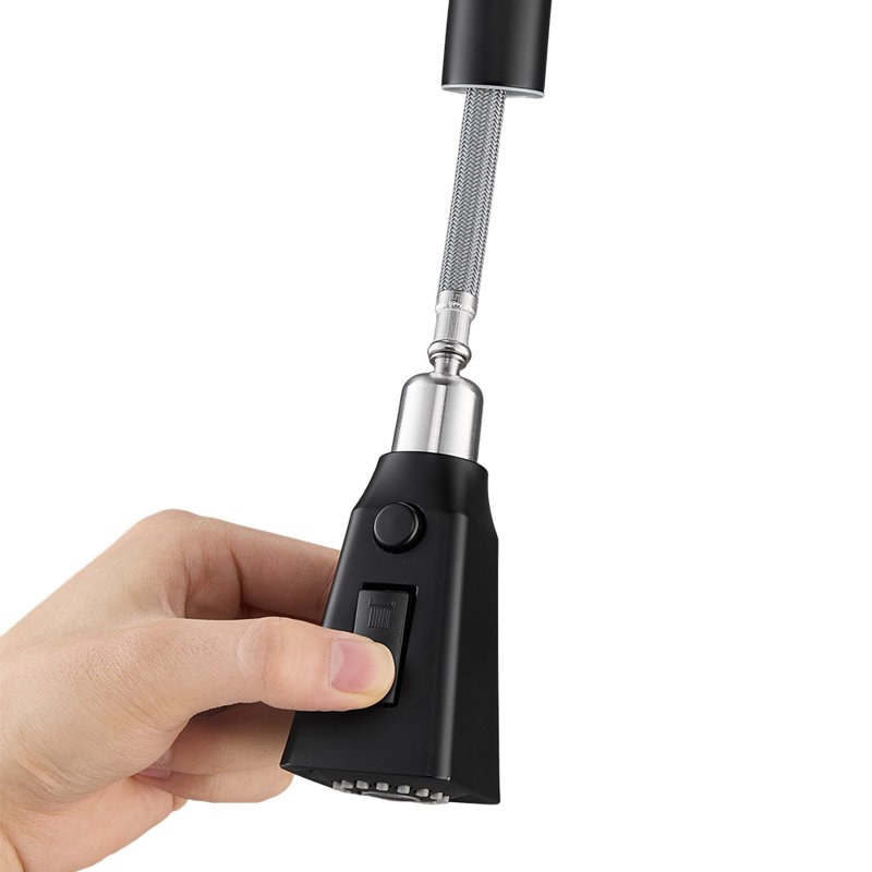 Brayden Studio Kitchen Faucet, Black