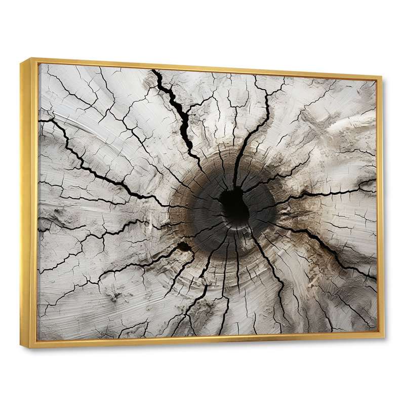 «Tree Cut Stump Beauty I», reproduction sur toile, Cadre flottant doré, H 24 po x l 32 po x P 1 po