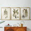 Fern Botanical III - reproduction sur mesure encadrée de qualité supérieure - 3 pièces-781275489-781275494