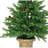 Carmel Pine 48' Lighted Fir Christmas Tree