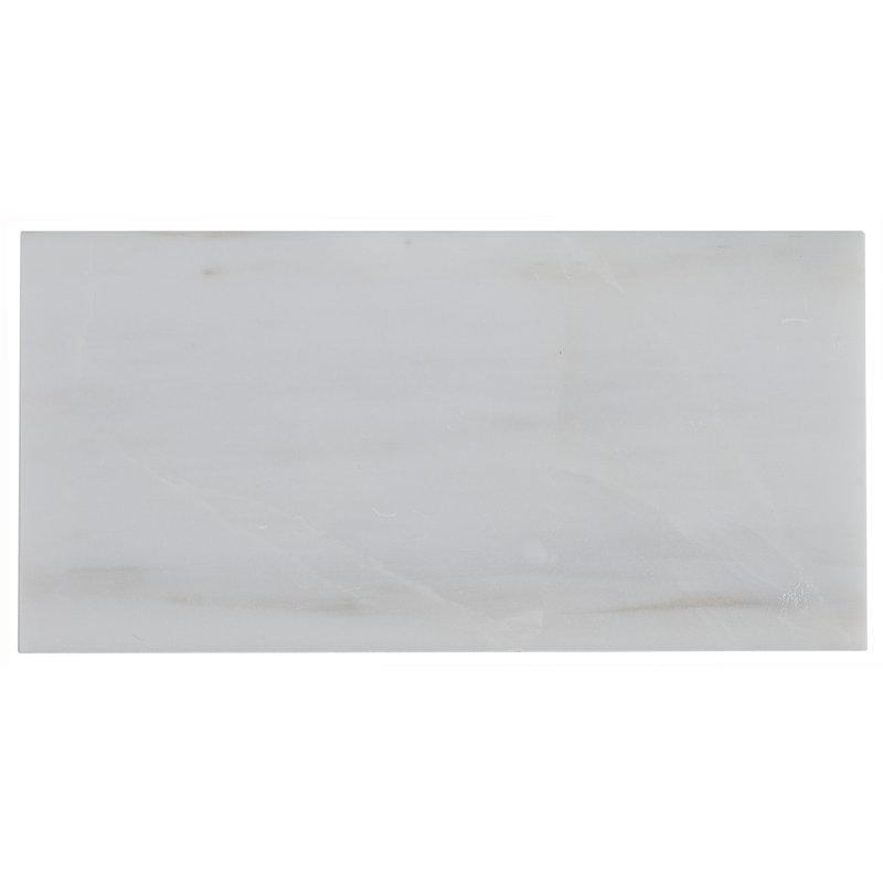 Marble Collection 6" x 3" Lightly Polished Natural Stone Field Tile in Contempo White