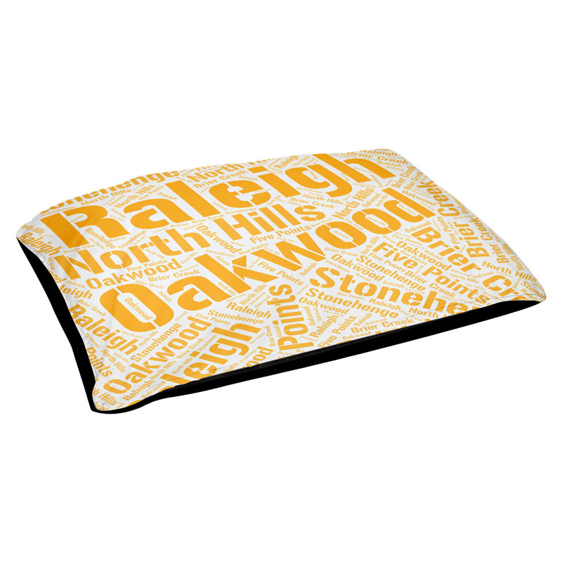 Coussin de chien « districts », Moyen (H 9,5 po x l 28 po x P 18 po), Cyan, Raleigh