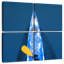 Kayak bleu Mehar