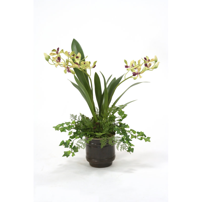 Arrangement floral orchidée en pot