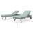 Ehrenfried Outdoor Rust-Resistant Metal Chaise Lounge Set , Sunbrella Cushion Included-87785811