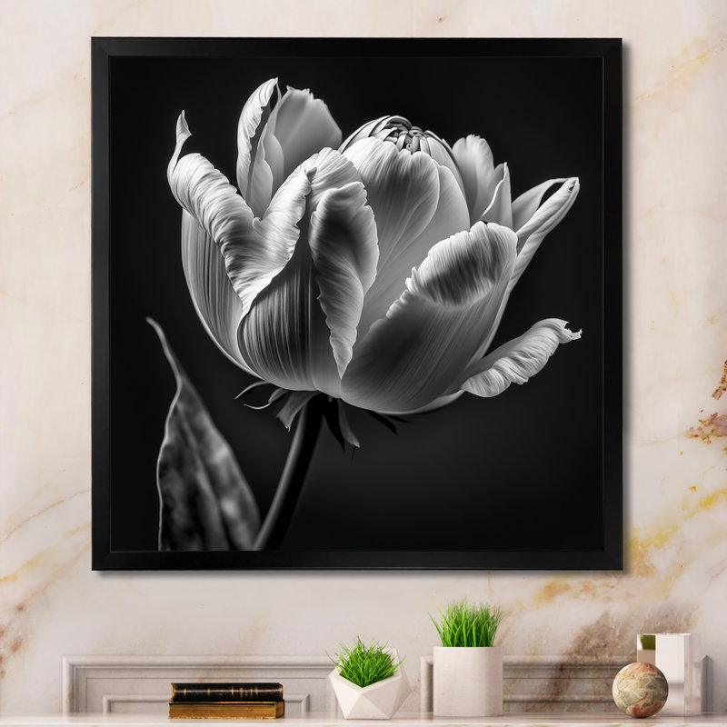 Gros plan sur une tulipe noire et blanche II - reproduction sur toile, H 16 po x l 16 po x P 1 po, Cadre photo noir