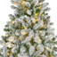 Lighted Trees & Branches