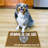 Perro & Gato Anti-Skid Placemat