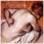 Edgar Degas - Wrapped Canvas Painting