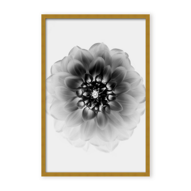 X-Ray Print by Alex Zhao, 48" H x 32" W x 1.125" D, Black, Framed Matted Print