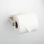 Newberry Collection Wall-Mount Toilet Paper Holder-70052217