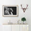 Majestic Lion Illustration - Picture Frame Graphic Art Print-56859596-56859595