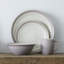 Noritake Colorwave Curve Dinner Plates 11"-89831104