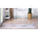 Oriental Indoor Rug