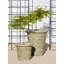Urbino Planter-13913512