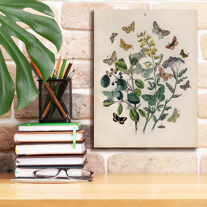 «Papillion - Butterflies» par Art Licensing Studio, art mural sur toile