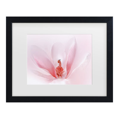 Bolog Summer2016 Ladybug Matted Framed Art