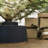 Robust Live Tree Stand
