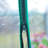 Hobby Mini Walk-in Greenhouse-98262116-98262118