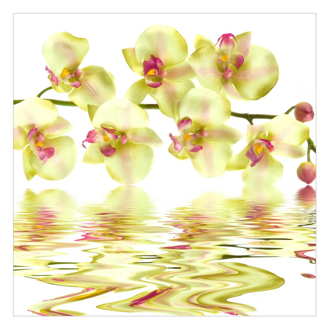 Halbglänzende Tapete Dreamy Orchid Waters