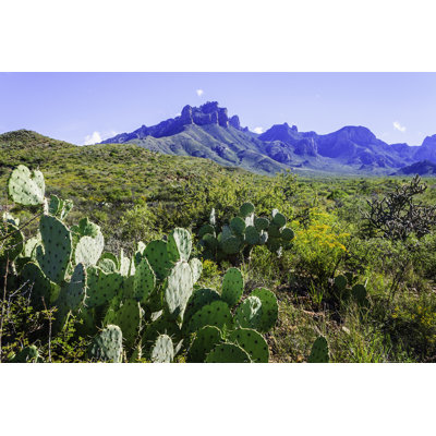 Prickly Pear Cacti - Wrapped Canvas Print