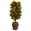 66'' Faux Foliage Plant in Ceramic Planter