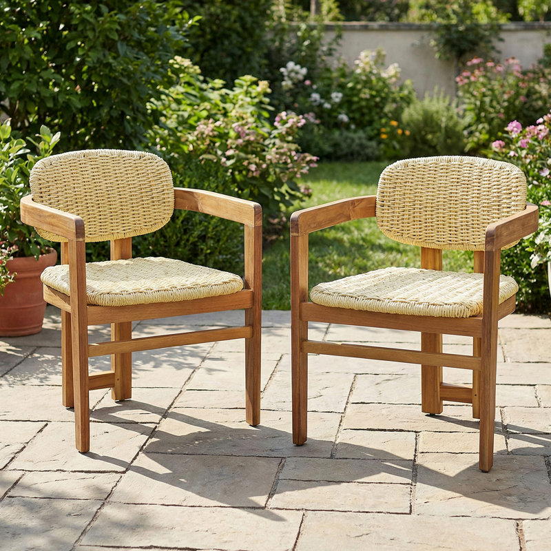 Ensemble de deux chaises d'appoint pour l'extérieur en rotin tissé pour l'extérieur