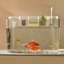 Divergent Rectangle Aquarium Tank