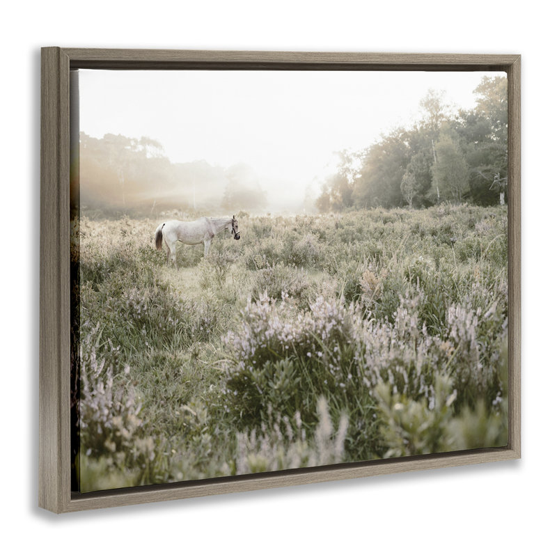 Cadre flottant Misty Sunset Horse, design par Leah Straatsma, H 25 po x l 31 po, Cadre flottant orme Montalcino