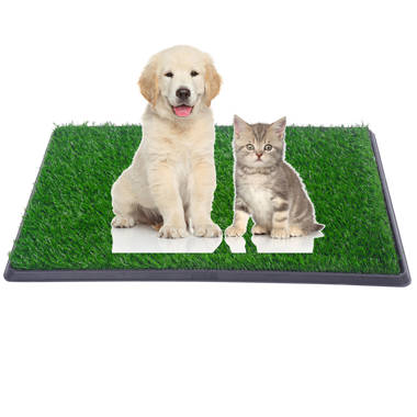 Paradiso Surface (Artificial Grass Mat for Cats and Dogs) – Paradiso Pet  Products