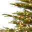 Lighted Artificial Fir Christmas Tree-1497654451