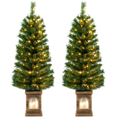 Lighted Christmas Tree
