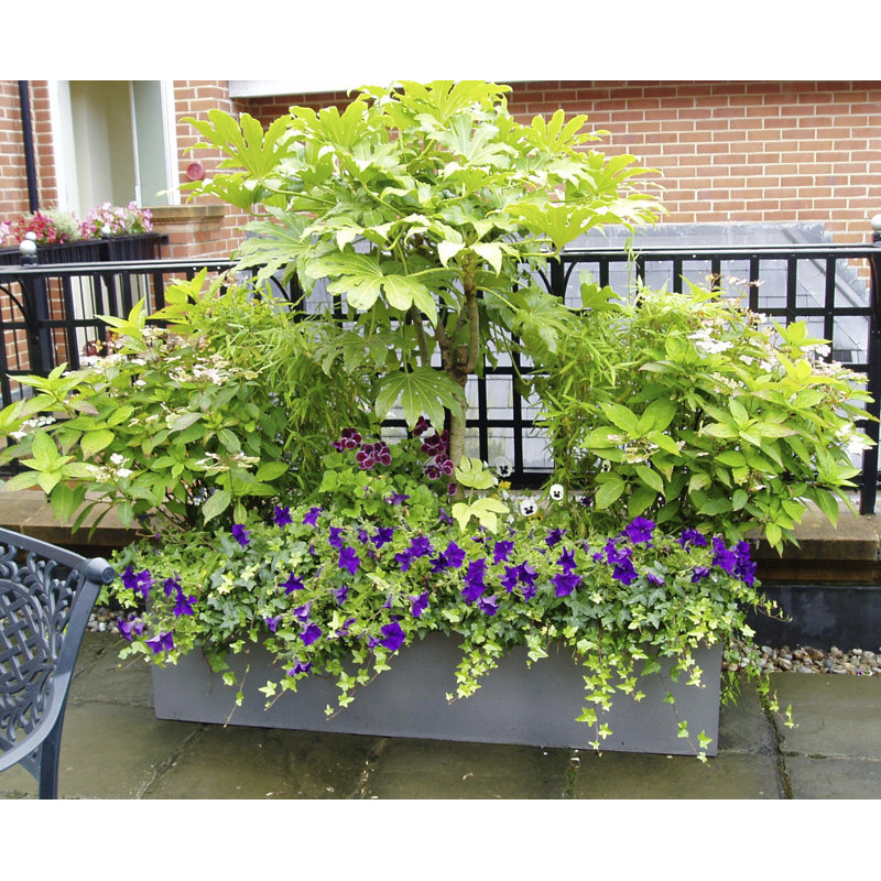 Hollriegel Fiberglass Window Box Planter, Medium, Aluminium