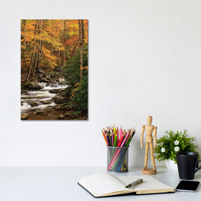 États-Unis, Tennesse. Feuillage d'automne le long d'un ruisseau dans les Smoky Mountains. par Joanne Wells - Photographie sur toile tendue