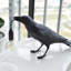  Lampe de bureau Raven-1461513799