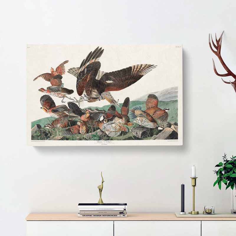 Virginia Partridges by John Audubon - Wrapped Canvas, 40cm H x 60cm W x 3cm D