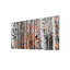 Parvez Taj - Wrapped Canvas Print-12309673
