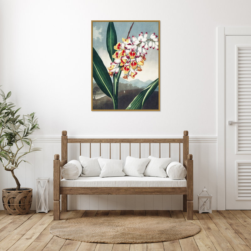 Temple of Flora VII par Dr. robert j. Impression sur toile encadrée Thornton, H 42 po x l 32 po
