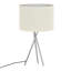 Bigord Metal Table Lamp