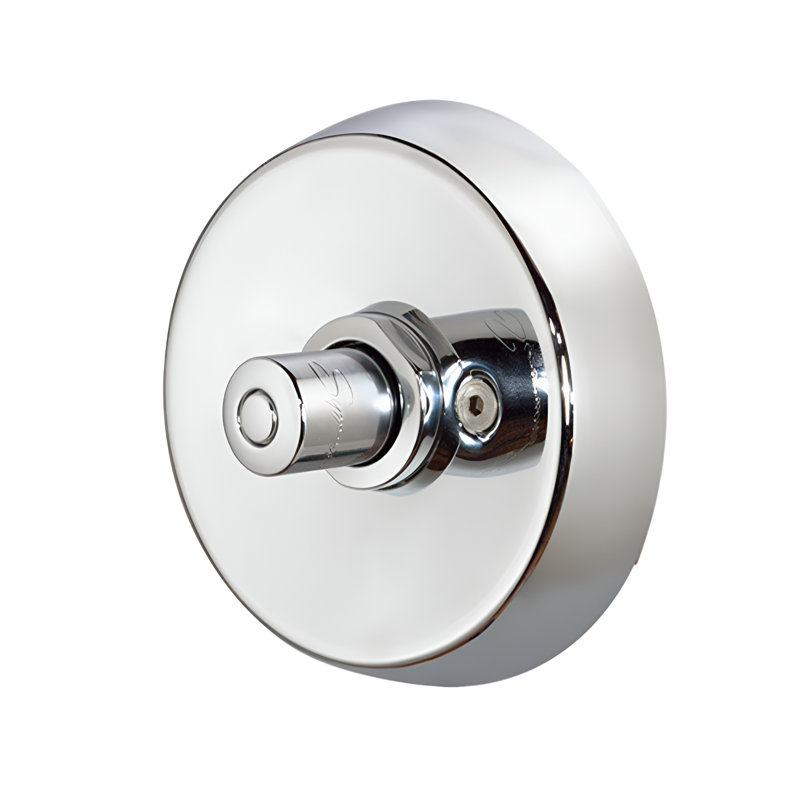 Showeroff Single Push-Button Metering Valve Trim