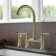 Selected Bridge Double Handles Kitchen Faucet With Side Spray