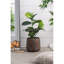 Jardinière en ciment-1510886628
