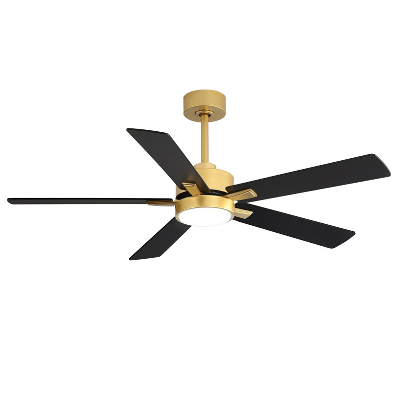 Rolanda 52" 5-inch Downrod Mount Ceiling Fan with Light Kit and Remote Control, Gold with Black Blades