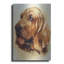«Blood Hound» par Barbara Keith-916136931